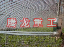 大棚花卉供暖設備、大棚卉采暖設備、大棚花卉取暖設備