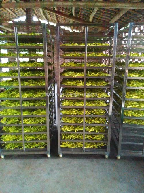 黃花菜烘干機(jī)、黃花菜烘干設(shè)備、黃花菜干燥機(jī)、黃花菜干燥設(shè)備、
